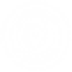 Trust Badge_White Cutout - Licensed and Insured copy.png