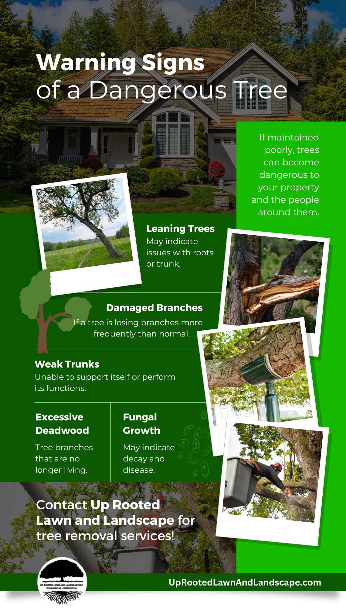 M35739 - Infographic -  Warning Signs of a Dangerous Tree.png