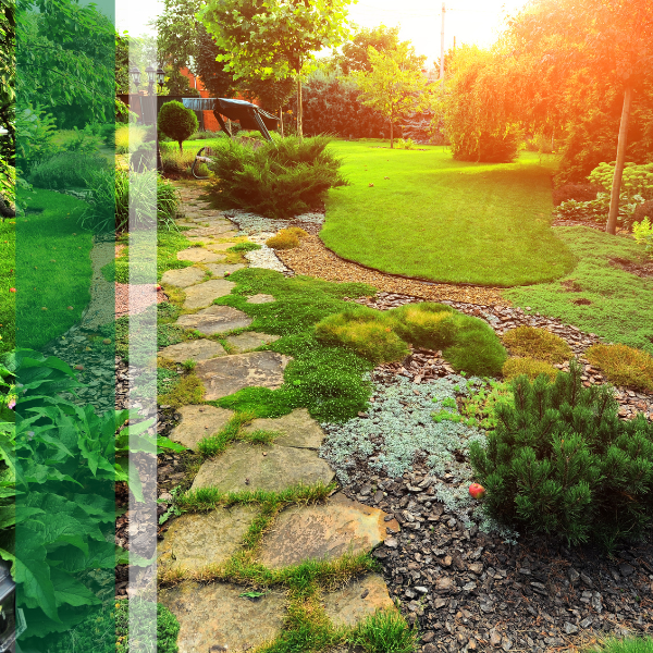A large backyard