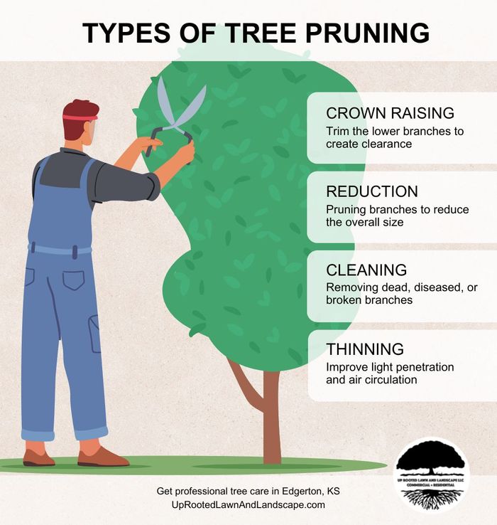 M35739 - IG - Types of Tree Pruning (1).jpg