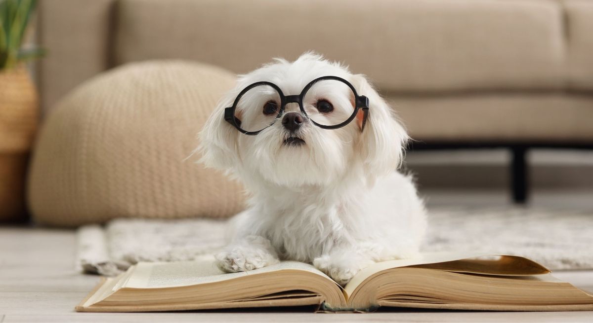 blog featured image.jpg