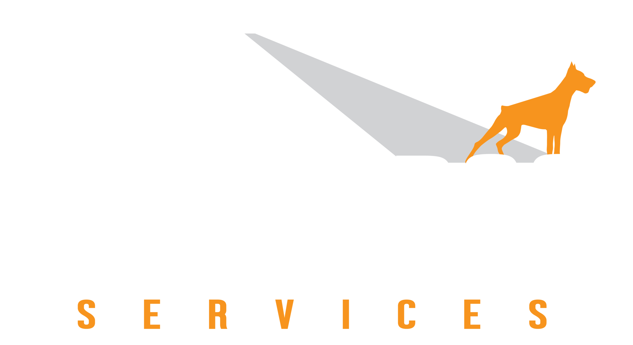 Watchdog Services