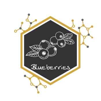 Blueberries Icon