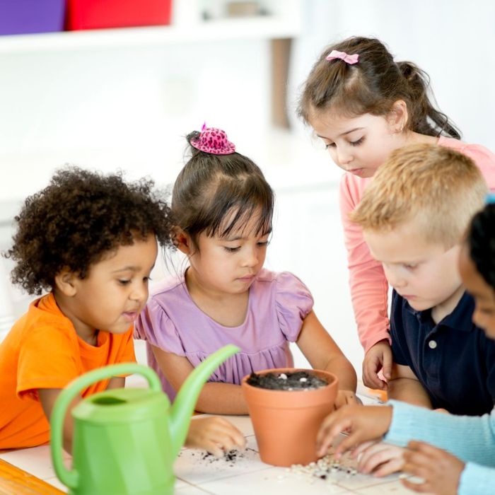 Benefits Of STEM Preschool Learning Over Traditional Learning -image2.jpg