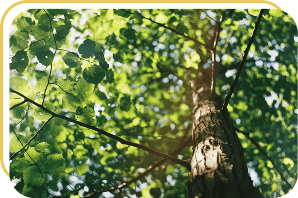 South Fulton - Image 3.png