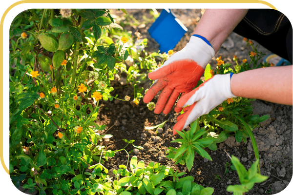 Oakhurst Village - Image 3.png