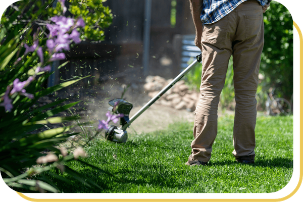 Sierra Estates - Image 4.png