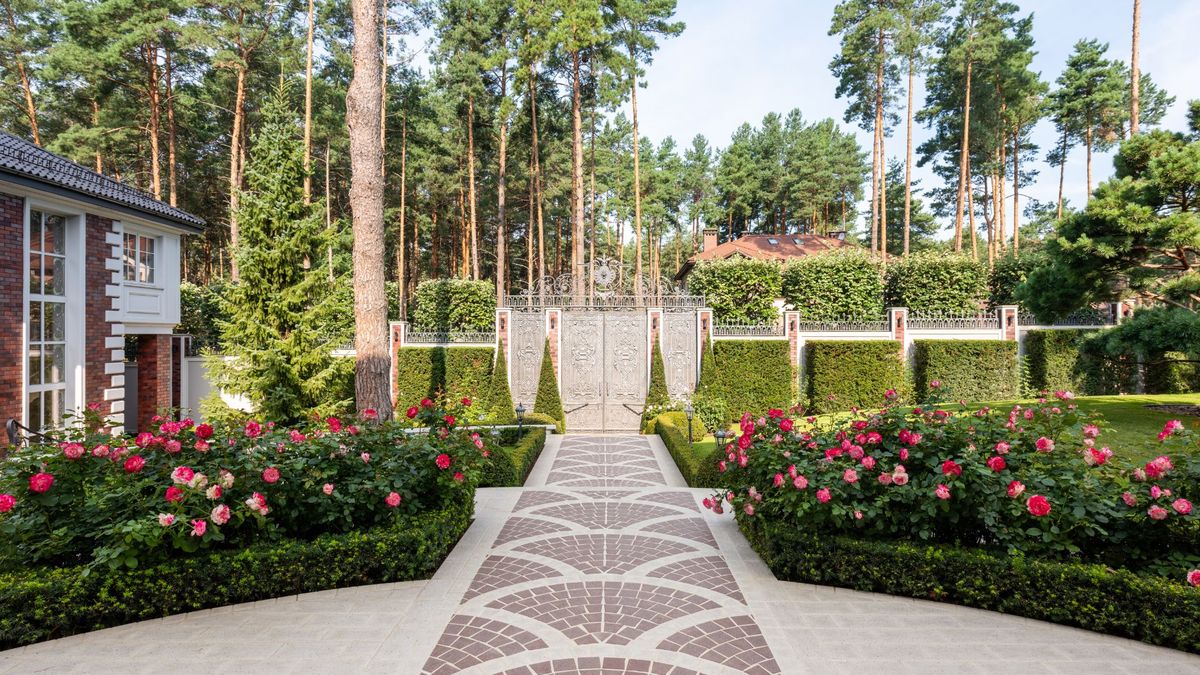 Blog Welcome Image.jpg