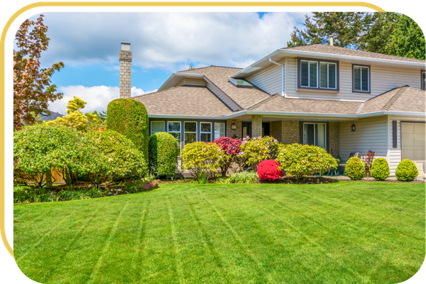 a freshly mowed front lawn