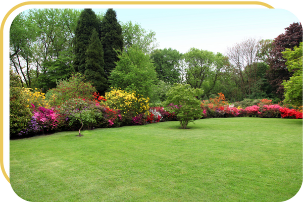 landscaping with thoughtful softscape