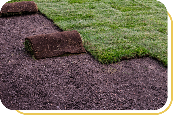 sod installation
