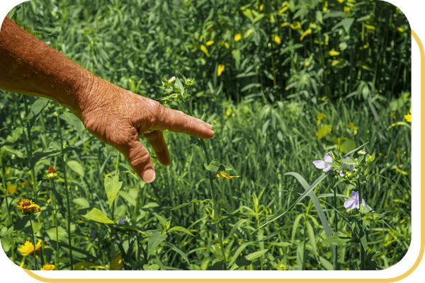 South Fulton - Image 4.png