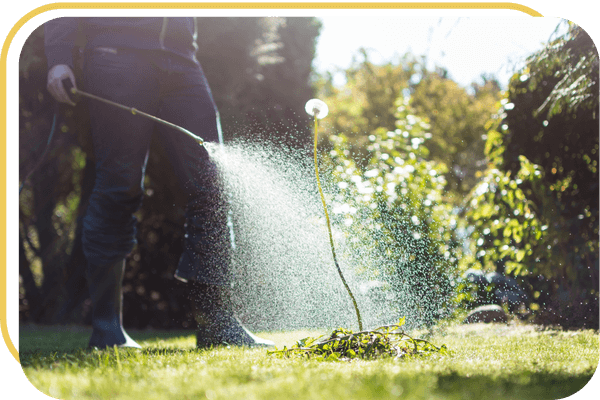 maintenanceplans3 (1).png