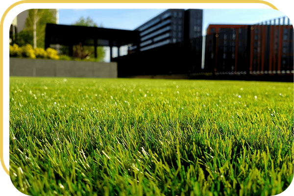 South Fulton - Image 1.png