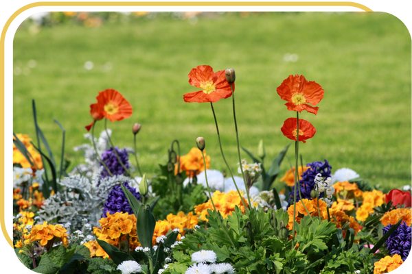 flower bed near lawn
