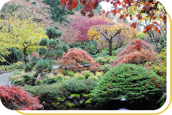 beautiful softscaping