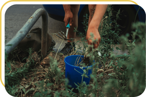 Lexington Park - Image 3.png