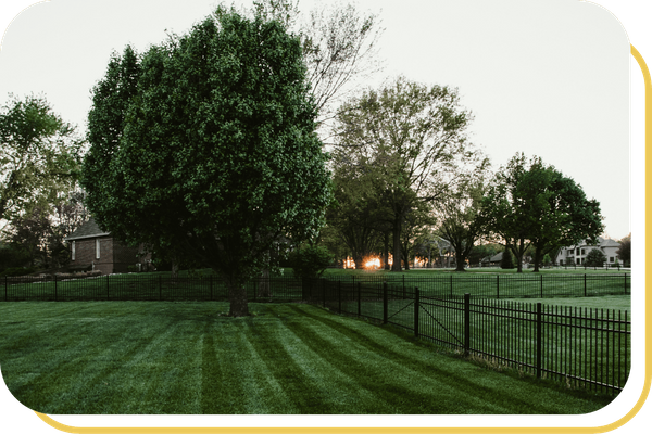 Sierra Estates - Image 2.png