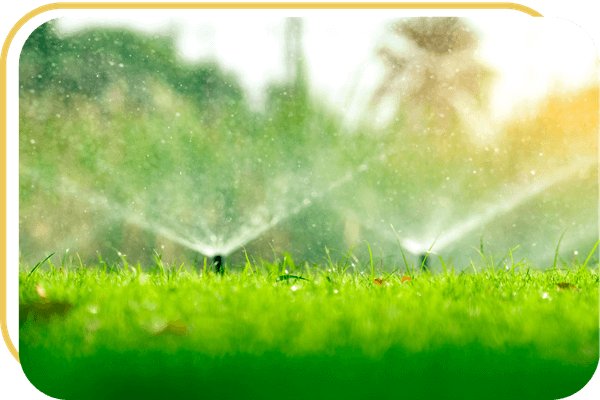 Softscapes 3 (1).png