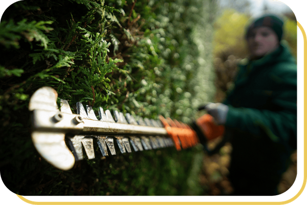 Lexington Park - Image 2.png