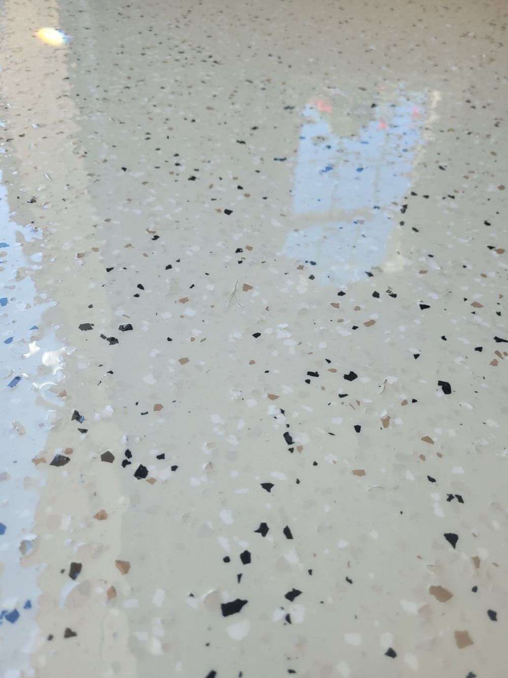 Resized_Resized_20240908_145528 (1).JPEG