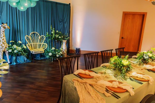 Safari baby shower in Oregon City
