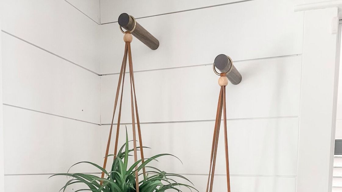 Wooden wall pegs holding plants