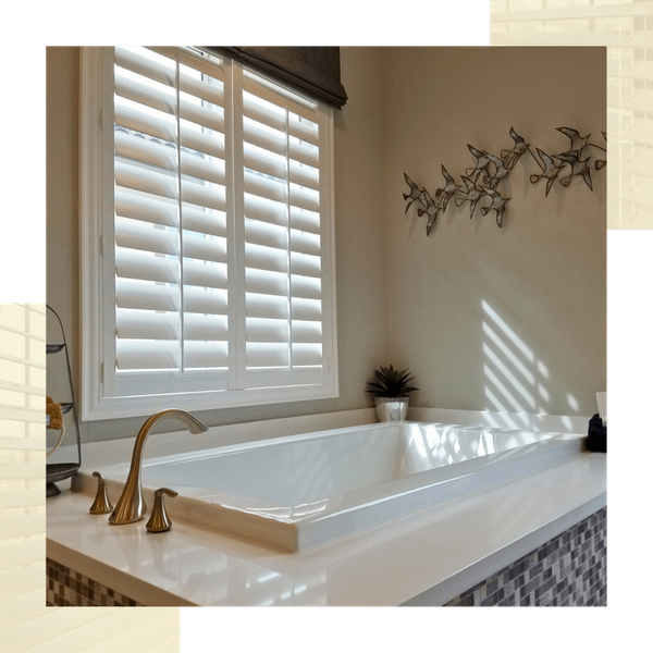 shutters2 (1).png