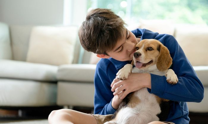 Special treatments to neutralize pet odors and clean pet-related stains, which are common in Colorado homes. Pet Stain and Odor Removal