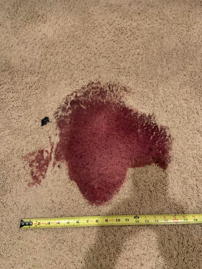 Tackling tough stains like coffee, wine, grease, and food spills, especially from high-traffic areas. Stain Removal