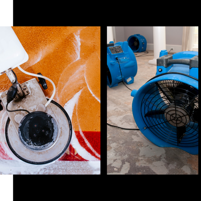 buffing rug and using fans 