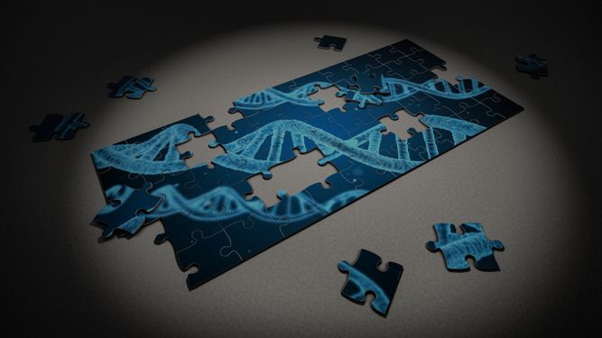 Understanding the Role of Genetics in Healthcare.jpg