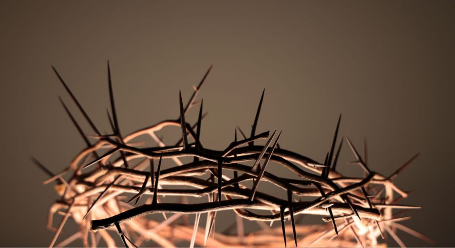 crown of thorns