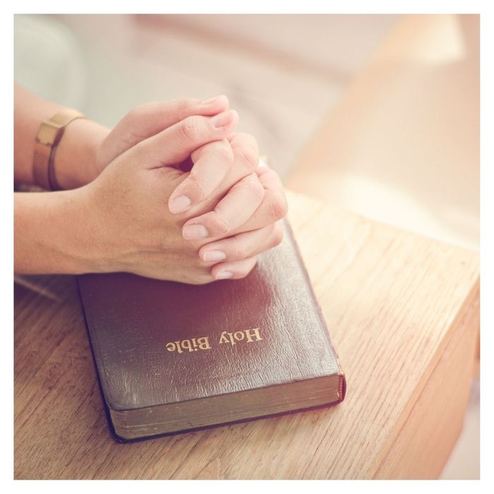 hands on bible 