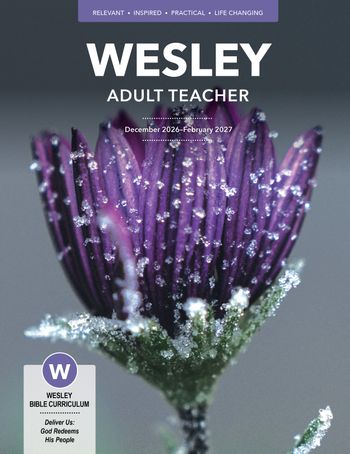 WBT WI26_27.jpg