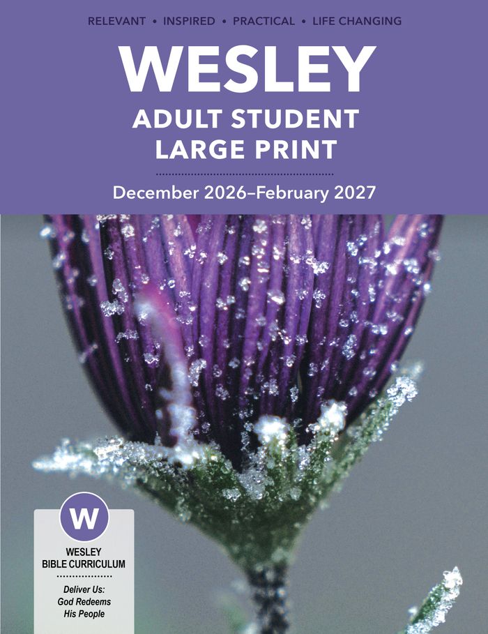 WBS LrgPrnt WI26_27.jpg