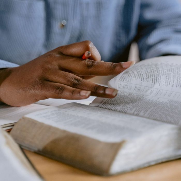 person looking through the bible