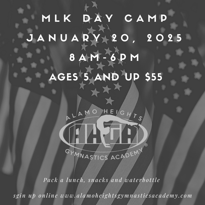 mlk camp 2025.png