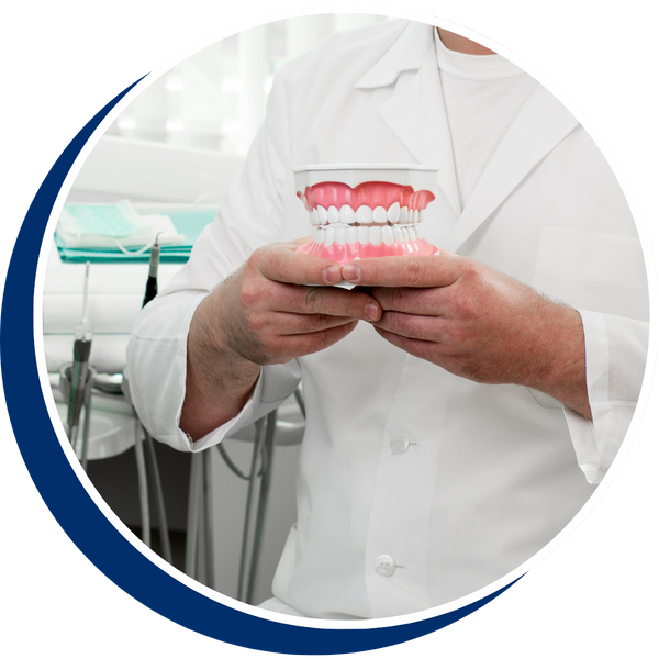 a dentist holding a mouth model with healthy gums General Dentistry Services Redesign (4).png