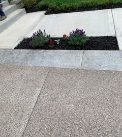 IMG-4255.jpg