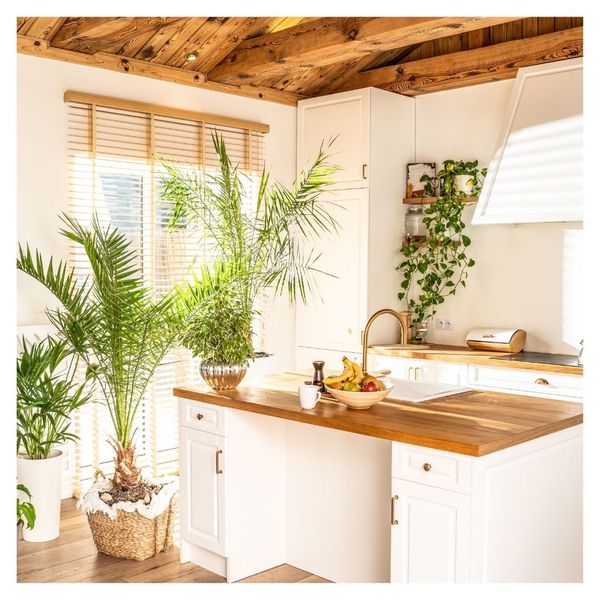 kitchen with greenery