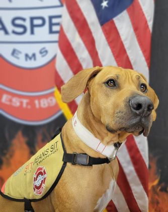 AXE Casper firehouse dog.jpg