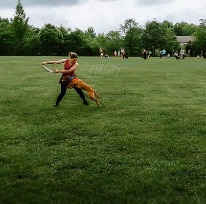 nikki halderman.jpg