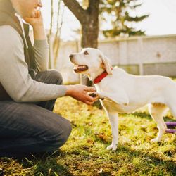 Psychiatric Service Dog Training