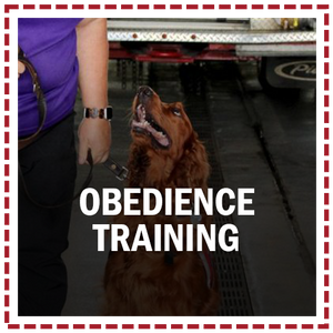 OBEDIENCE TRAINING.png
