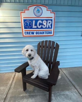zora lewis county search and rescue.jpg