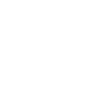 white paw print with cross icon