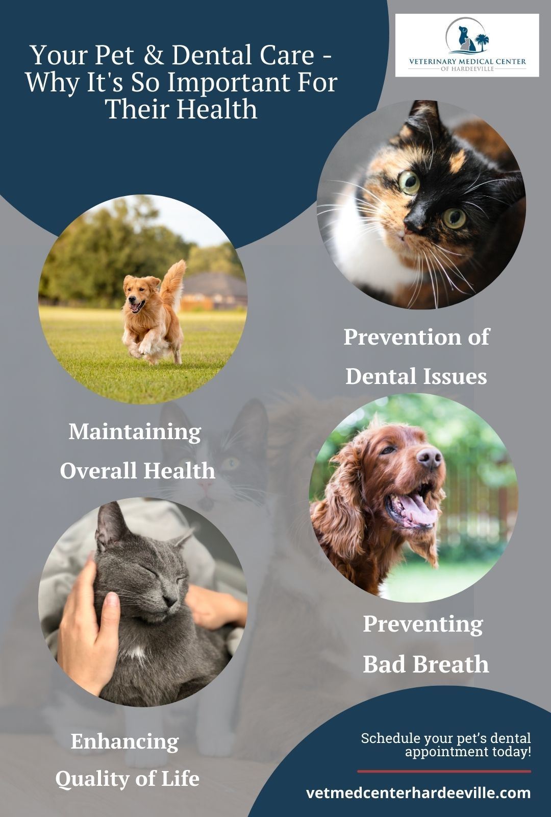 M32826 Your Pet & Dental Care - Why It's So Important For Their Health infographic.jpg