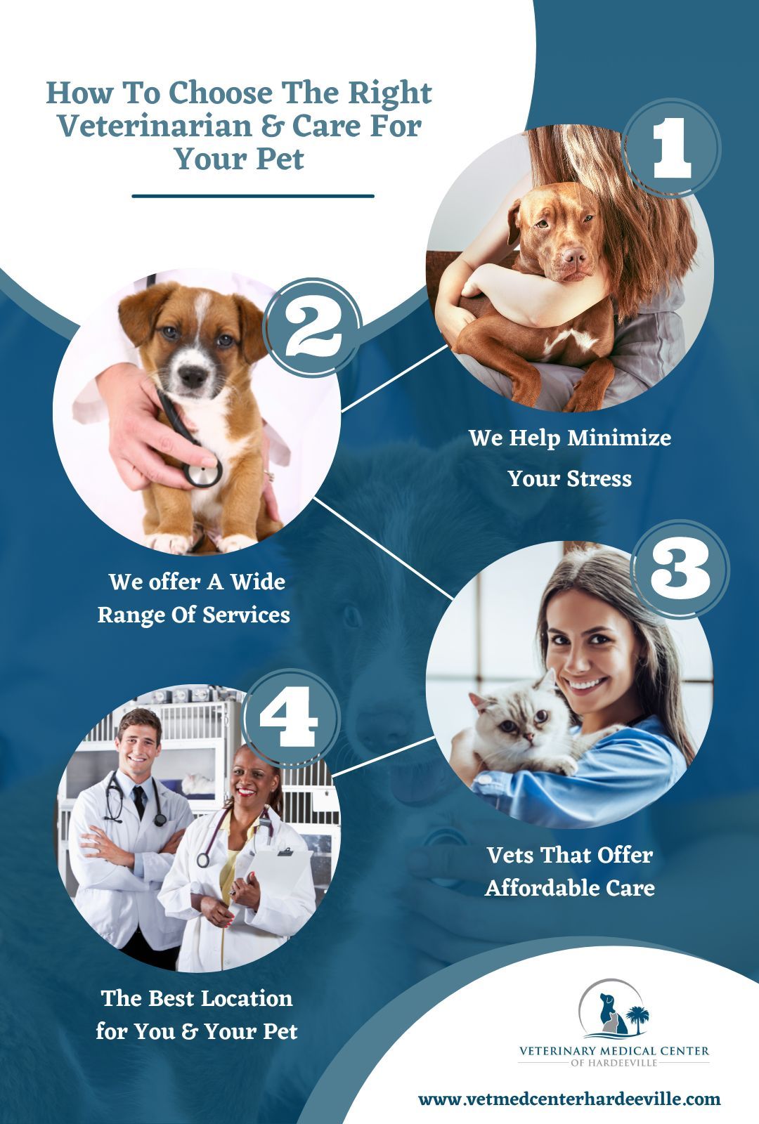 M32826   Infographic  How To Choose The Right Veterinarian & Care For Your Pet.jpg
