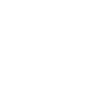 white thermometer icon